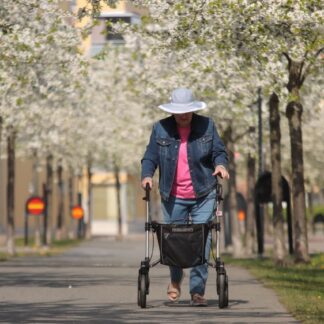 Mujer mayor caminando con un rollator por una avenida arbolada en flor